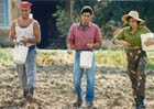 Un anno in campagna