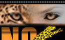 59th Locarno Film Festival, the Italian Selection