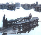 The weeping meadow (To livadi pou dakryzei)