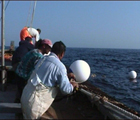 The Legend of the Holy Fishermen (La leggenda dei Santi Pescatori)