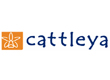 Cattleya Lab