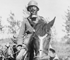 Animali nella Grande Guerra