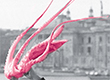 Italian Screenings 2016 in Bari
