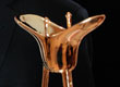 Vito Palmieri awarded at Shanghai