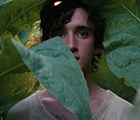 Happy as Lazzaro (Lazzaro felice)