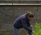 The Gatherer Man (L'uomo Rraccoglitore)