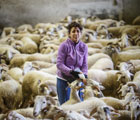 La signora di Zeri