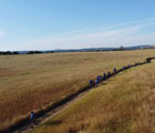 On the blue way (Sul sentiero blu)