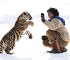 Il ragazzo e la tigre (The Tiger's Nest)