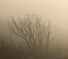 L'ombra del fuoco