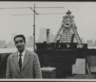 The writer in the trees (Italo Calvino, lo scrittore sugli alberi)