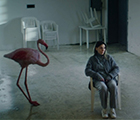 Lea and The Flamingo (Lea e il Fenicottero)