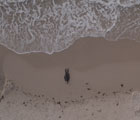 Breath (Souffle)