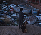 El ladrón de perros