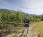 Avvino