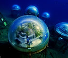 Blue Bubble