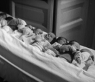 Fratelli di culla