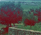 Notes for a sardinian story (Appunti per una storia sarda)