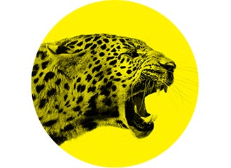 Locarno Film Festival