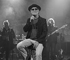 Francesco De Gregori Nevergreen