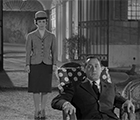 Siamo in un film di Alberto Sordi?